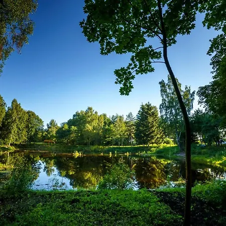 Duża Woda Glamping * Dąbrówno